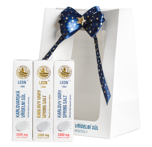 Elegantní balení Natural - kombinace LEON Šumivé tablety 1000 mg / 3 x 20 ks – Dárková taška