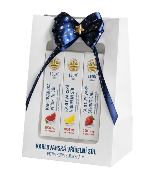 Elegantní balení - kombinace LEON Šumivé tablety 1000 mg / 3 x 20 ks – Dárková taška